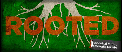 Rooted series Timberlake Church Redmond Washington