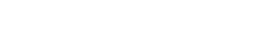 TS new web